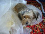 Иван Андреев фотография #49 (источник - https://vk.com/id2534545)