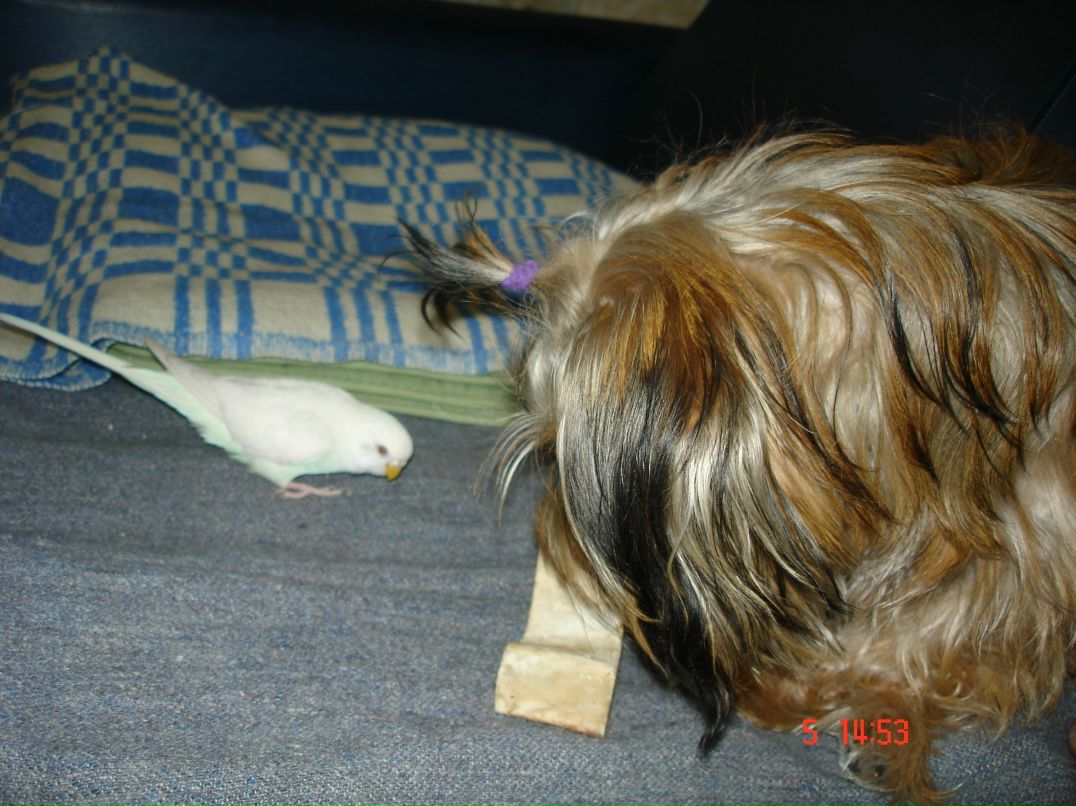 Иван Андреев фотография #23