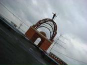 Фотография Курова Константина