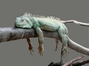 Фотография Некрасова Ильи