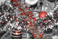 Фотография Масюкевич Ольги