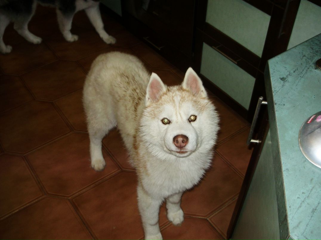 Дмитрий Тепляков фотография #24