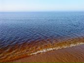 Дмитрий Иванов фотография #26 (источник - https://vk.com/id850084)