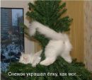 Аліна Мельничук фотография #23 (источник - https://vk.com/id6050957)