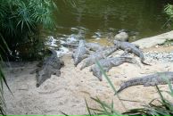 Дмитрий Венгерцев фотография #22 (источник - https://vk.com/id181221)