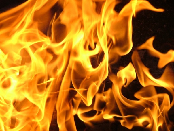 №14, Елизавета Ромашина №14, Елизавета Ромашина