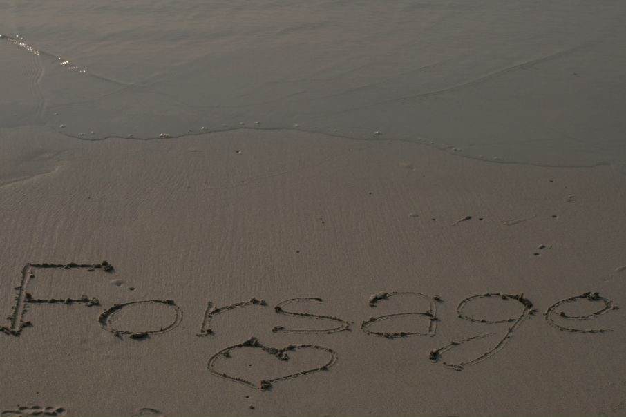 №3, Анастасия Сучкова, Санкт-Петербург №3, Анастасия Сучкова, Санкт-Петербург