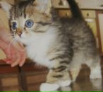 Фотография Паниной Татьяны