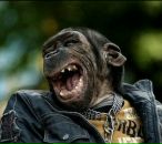 Фотография Сенькова Максима