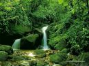 Наталія Пилипюк фотография #35 (источник - https://vk.com/id139200928)