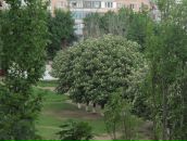 Сергей Сергеев фотография #30 (источник - https://vk.com/id6942188)