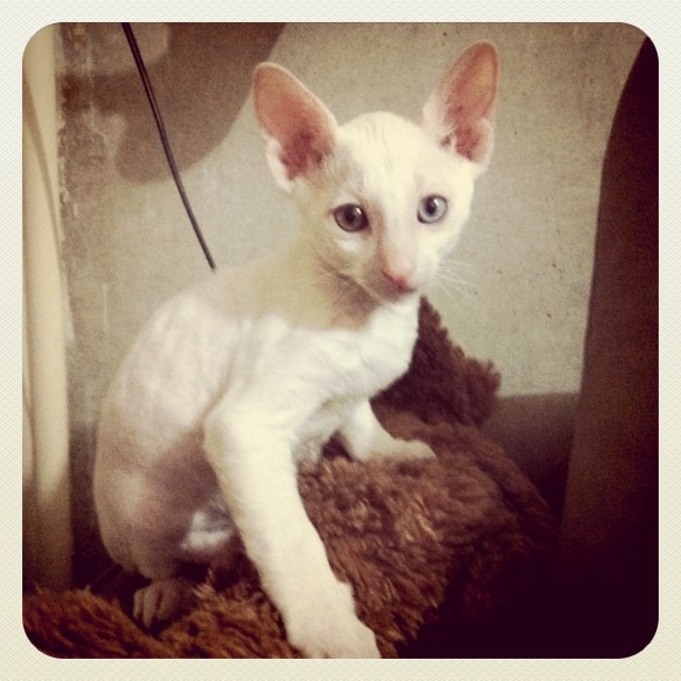 Иван Тагиров фотография #30