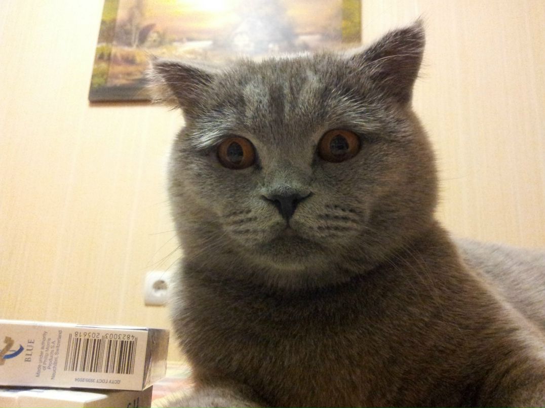 Сергей Тараненко фотография #17