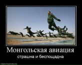 Денис Соловьев фотография #36 (источник - https://vk.com/id730284)