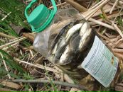 Сергій Лисенко фотография #38 (источник - https://vk.com/id9872595)