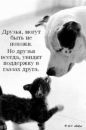 Ярослава Фізер фотография #40 (источник - https://vk.com/id122806502)