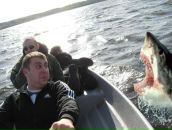 Фотография Sivchikov Boris