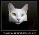 Любовь Κарасева фотография #1