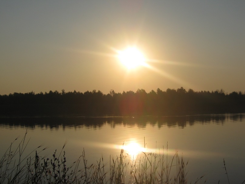 Александр Щепотьев фотография #18