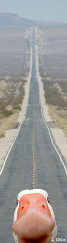 Дима Кальной фотография #36