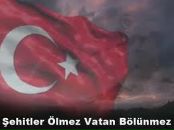 Фотография Akar Orhanveli