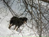 Михайло Погрібний фотография #48 (источник - https://vk.com/id13177544)