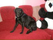 Віка Мельничук фотография #35 (источник - https://vk.com/id24880232)