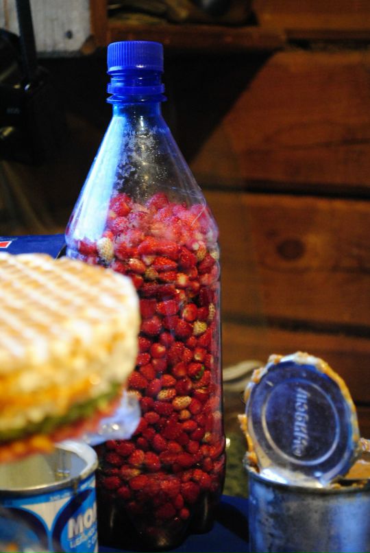 Илья Литаврин фотография #33