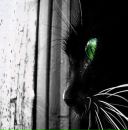 Фотография Ефимов Дмитрий