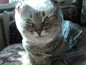 Фотография Махмутовой Натальи