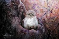 Дима Christmas фотография #37 (источник - https://vk.com/id3422265)