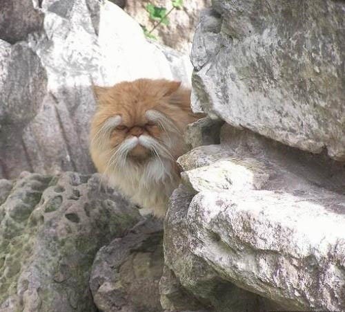 №6, Александр Корытин, Краснодар, Россия №6, Александр Корытин, Краснодар, Россия