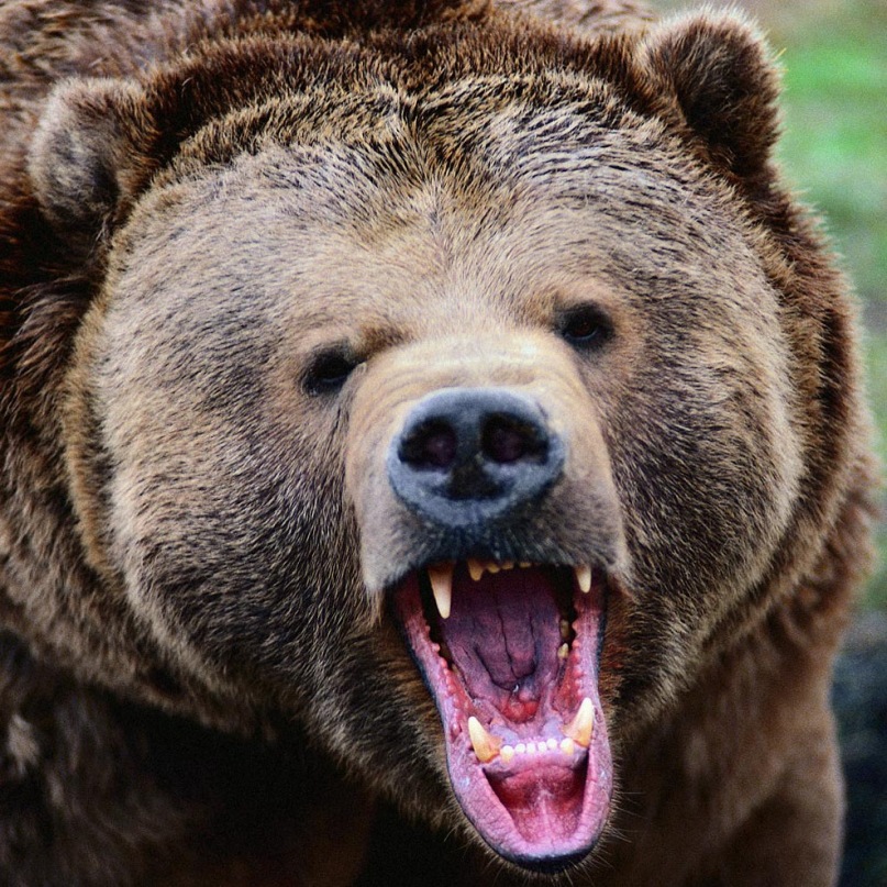 Дмитрий Дмитриев фотография #5