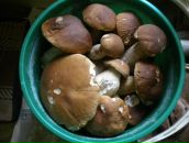 Фотография Манжурина Виктора