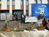 Наталія Кошка фотография #28 (источник - https://vk.com/id55018463)