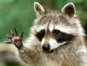 Фотография Касалаповой Ани