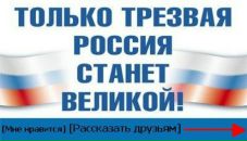 Фотография Карташева Ольга