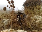 Фотография Михаэль Лилит