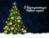 Андріана Бровко фотография #9 (источник - https://vk.com/id82156394)