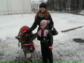 Фотография  
