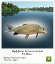Сергій Тимків фотография #20 (источник - https://vk.com/id56049737)