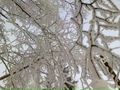 Андрей Камаев фотография #9 (источник - https://vk.com/id2346810)