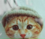 Фотография Тарасенко Александра