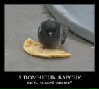 Світлана Пушкарська фотография #45 (источник - https://vk.com/id32784925)