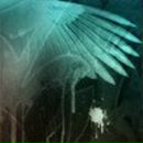 Сергі Жук фотография #1