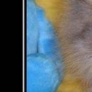 Христина Якімець-Максимяк фотография #42 (источник - https://vk.com/id21782638)