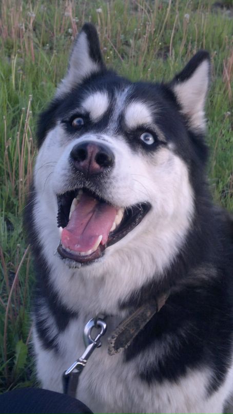 Денис Линник фотография #32