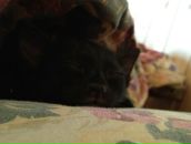 Фотография Цегельницкой Виктории