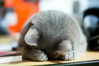 Фотография Авдецкой Ольги