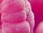 Анюта Тен фотография #14 (источник - https://vk.com/id2913362)